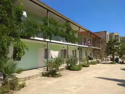 Кипарис - 6