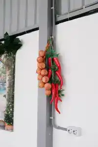 Oasis Eco-House - 30