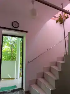 Яна - 8