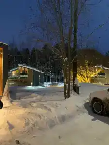 Аквафорест - 21
