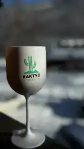 Кактус Арт - 30