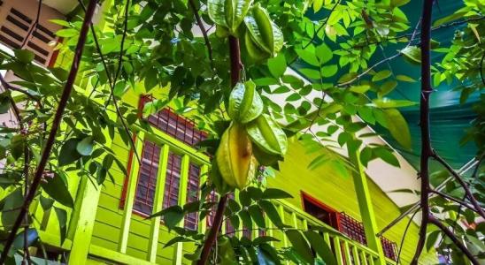 Oyo 691 Don Muang Boutique House - 3