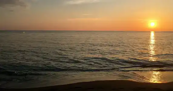 Simple Pleasures - 4