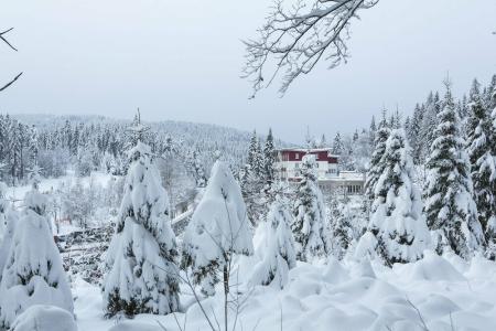 Das Wald- Genuss & Wellness am Notschreipass - 7
