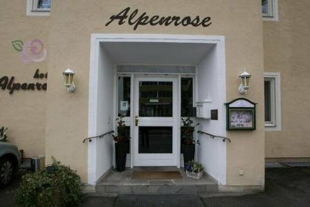 Alpenrose - 3
