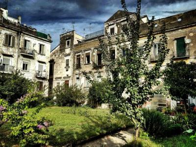 Il Giardino di Vico Neve - 1