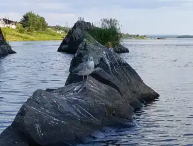 О'неженка - 38