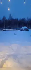 Дубки - 29