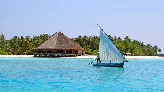Bibee Maldives - 2