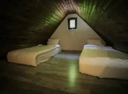 Боржоми Underwood - 25