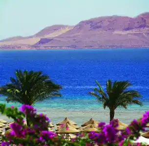 Baron Resort Sharm El Sheikh - 16