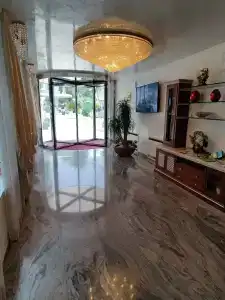 Ambassador - 26