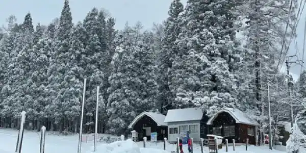 Hakuba Sun Valley - 11