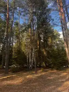 Три Метлы - 33