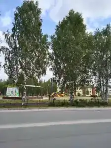 Лесная - 1