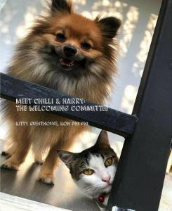 Kitty Guesthouse - 7