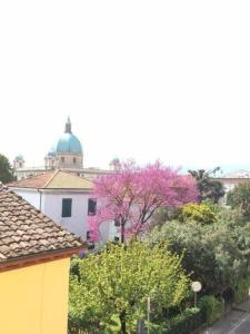 Stipino - 6