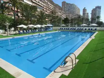 Albahia Alicante - 0