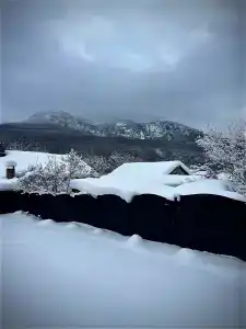 Коккоз - 10