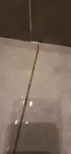 Норман - 10