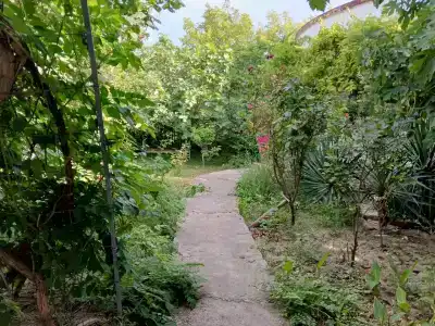Яна - 22