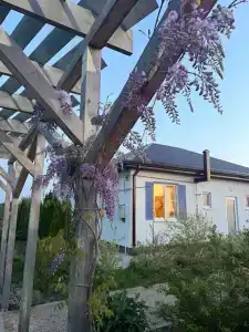 Лавандовые холмы - 15