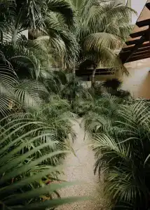 The Strabon Tulum - 42