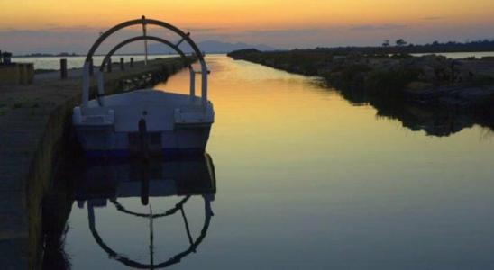 La Mimosa Case Vacanze - 8