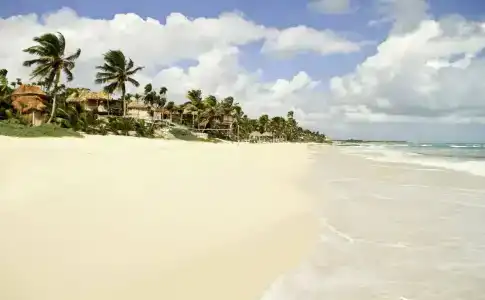Papaya Playa Project - 2
