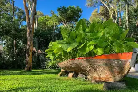 Arbatax Park Resort - Telis - 37