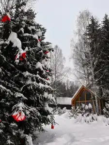 Добролес - 12