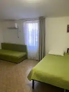 Алмаз - 42
