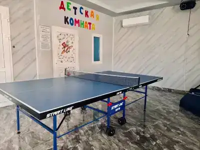 Артика - 44