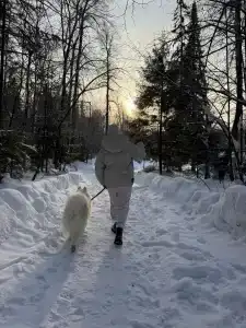 Добролес - 43