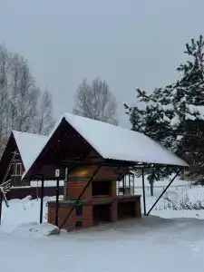 Скворцы - 8