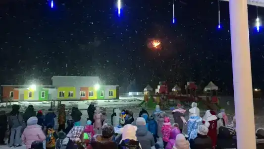 Чуварлейский бор - 17