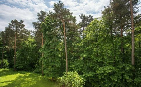 Four Points by Sheraton Ljubljana Mons - 49