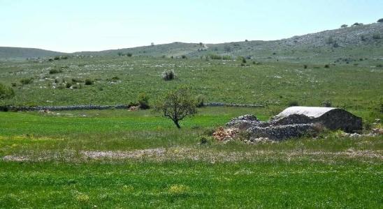 Yria - 37