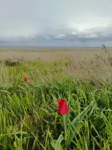 Баскунчак - 22