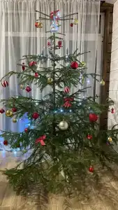 Калевалы - 33