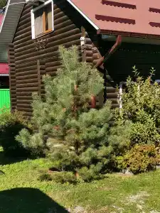 Домовёнок - 14