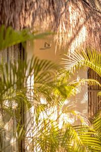 Muaré Tulum - 37