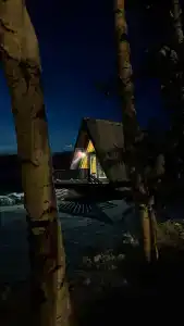 Скворцы - 4