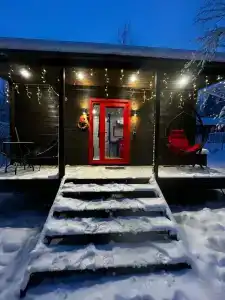 Икс-Лес - 5