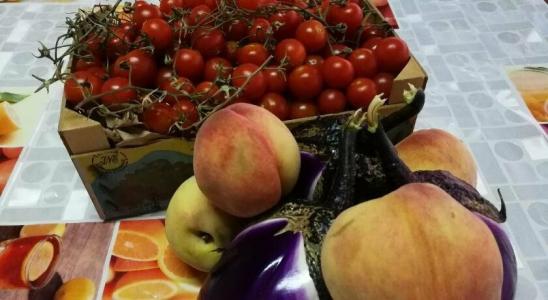 La Mimosa Case Vacanze - 14