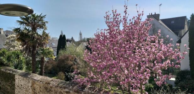 hôTel Ginkgo - Spa Biloba - 21