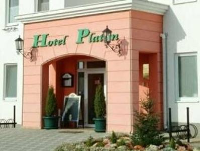 Platan - 1