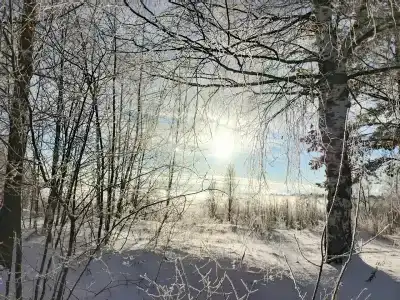 Дом с баней в деревне Горы - 38
