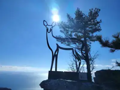 Долоссы - 18