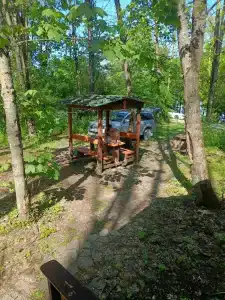 Семеновский пруд - 35